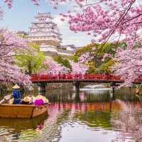 Sakura Spectacle: Tokyo's Blossom Ballet!🌸