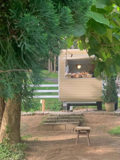 🌲무조건 가야할 치앙마이카페🌲