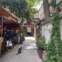 The atmosphere of art and unusual Shanghai
