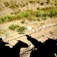 SONG KUL LAKE Horse Trek Guide
