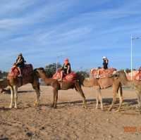 A Wonderful Camel Ride and BBQ Experience