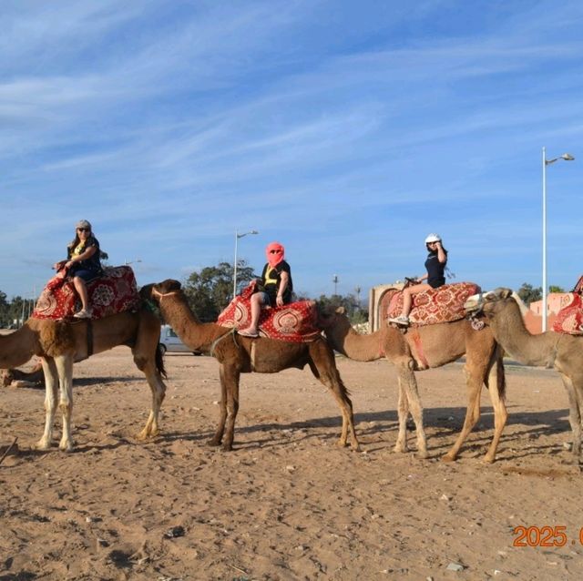 A Wonderful Camel Ride and BBQ Experience