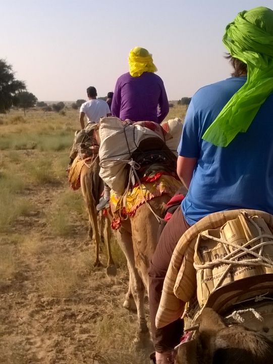 Camel Safari in Jaisalmer: A Journey Through the Thar Desert