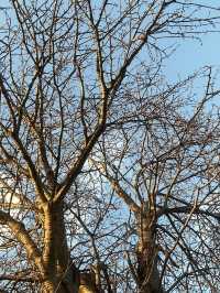 Parks in Bristol - Parrett Park