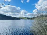 From Sheffield to the Peaks: A Journey from Academia to the Wild