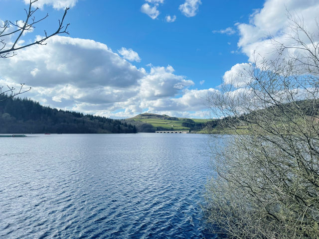 From Sheffield to the Peaks: A Journey from Academia to the Wild