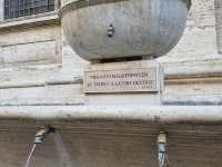 Half Day tour to Vatican Musuem, Sistine Chapel & St. Peter Basilica