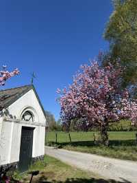 The most beautiful trail near Leuven only in April