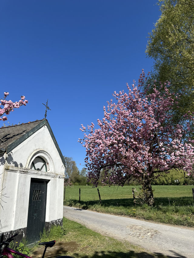 The most beautiful trail near Leuven only in April