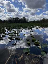 Our Miami Everglades Adventure! 🌿🐊