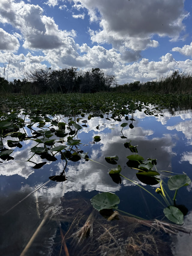 Our Miami Everglades Adventure! 🌿🐊