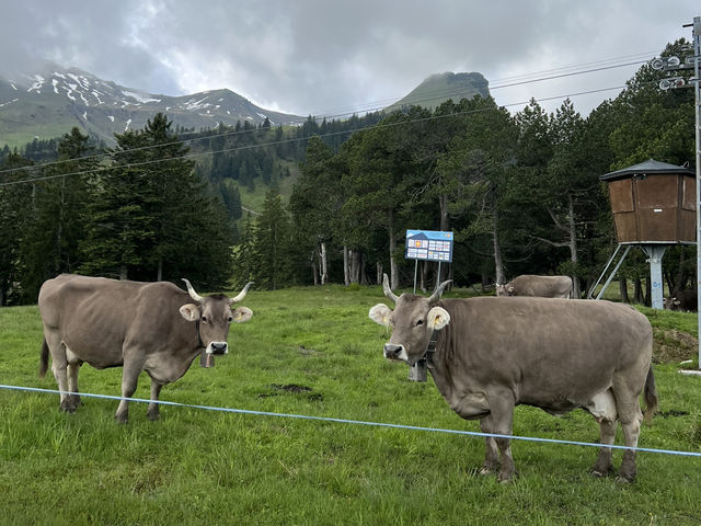 Hiking in Stoos🇨🇭