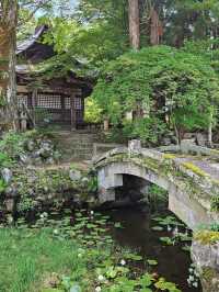 ⛪ Visiting Hida Folk Village: A Step Back in Time
