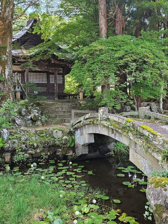 ⛪ Visiting Hida Folk Village: A Step Back in Time