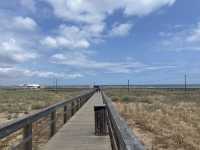 Sun-Kissed Shores & Coastal Charms: My Algarve Escape
