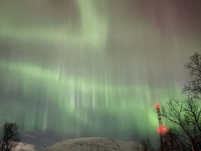 The incredible aurora in Tromsø, Norway💫🪄