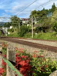 the scenic train ride from Nagiso to Nagoya 🚊