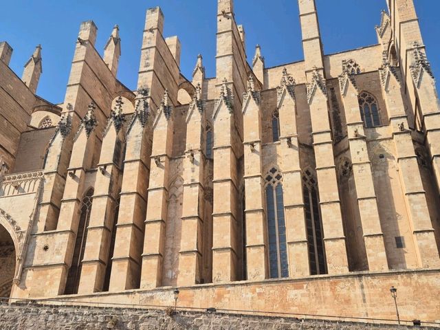 exploring palma