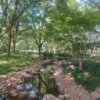 Little parks in Shanghai, little water worlds in the heart of the city