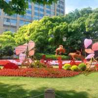 Little parks in Shanghai, little water worlds in the heart of the city
