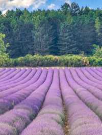🌿 A Quiet Jewel in the Drôme – Aurel, France