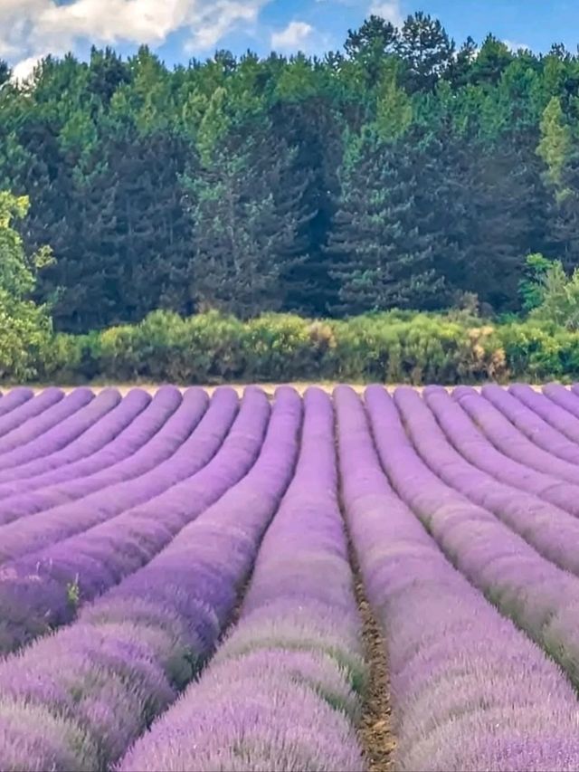 🌿 A Quiet Jewel in the Drôme – Aurel, France