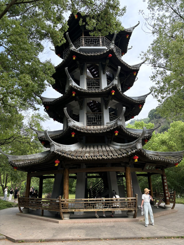 A relaxing day trip in beautiful Yongjia Academy 