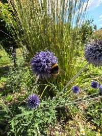 Kentish PIP, Kent England