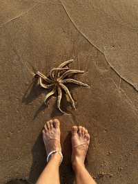 Phu Quok beach 🏝️-one of the most beautiful in the world 🌎!