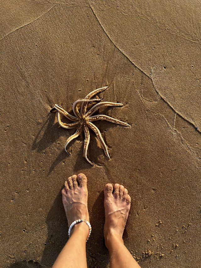 Phu Quok beach 🏝️-one of the most beautiful in the world 🌎!