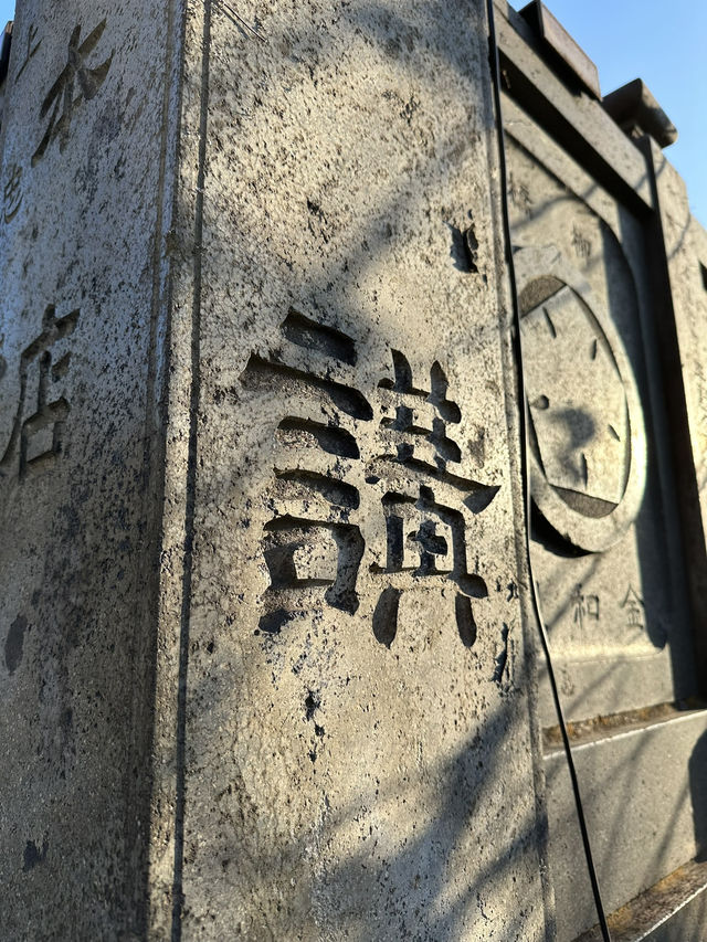 Ready to uncover a side of Tokyo that's full of local flavor and zen vibes? 