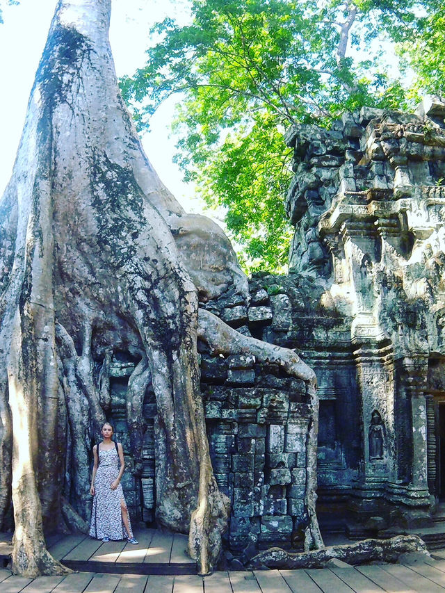 Angkor Wat — the Magic of Cambodia 