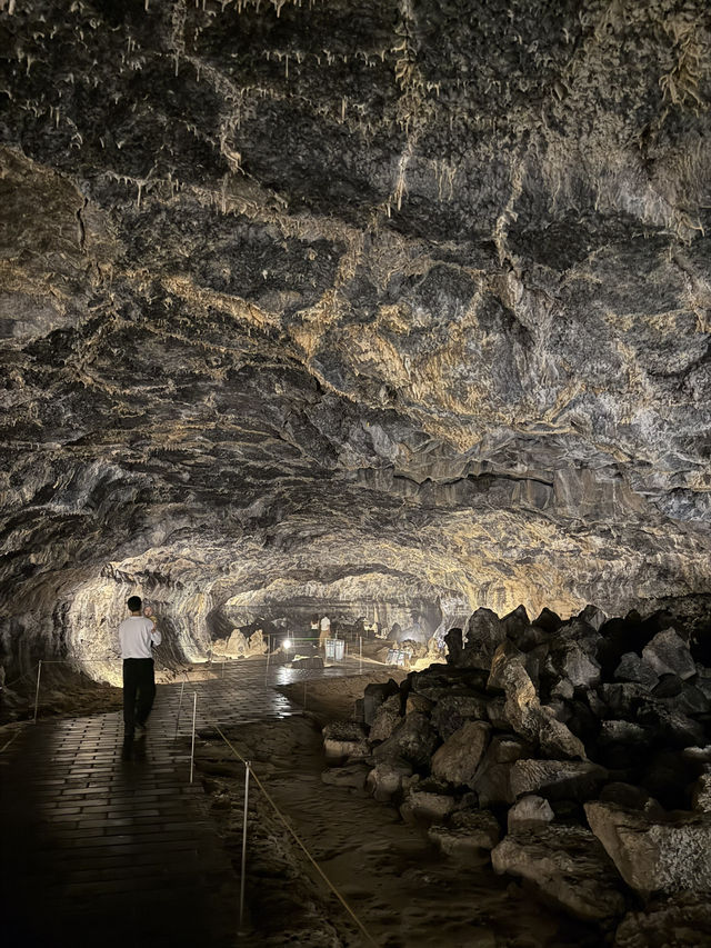 Nature Unveiled๐ณ  Hallim Park in Jeju Nature Unveiled๐ณ  Hallim Park in Jeju