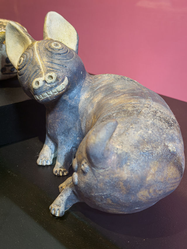 One day in Lima One day in Lima