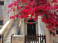 Seaside Perfection✨