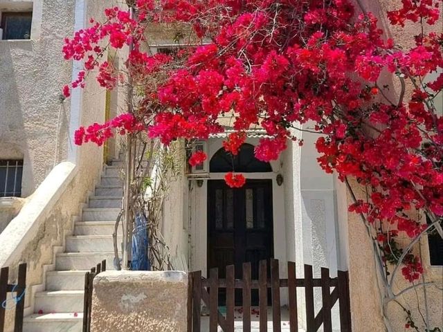 Seaside Perfection✨