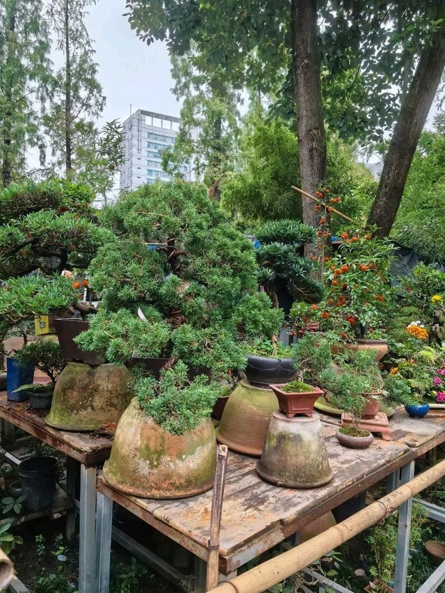 Чэнду: Город, где история дышит в каждом уголке Чэнду: Город, где история дышит в каждом уголке