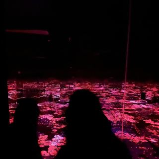 Teamlab 無邊界吉達