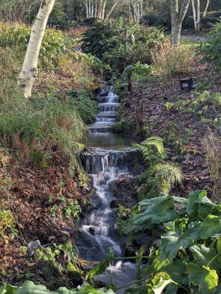 Autumn settles gently over RHS Garden Rosemoor, 🍂🌳