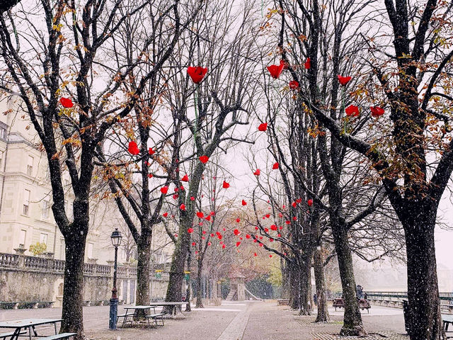 đ¸ Spring Serenity in Geneva: A Short Escape to Switzerlandâs Lakeside Jewel đ¨đ