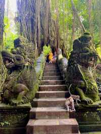 Sacred Monkey Forest - Ubud🐒🌿