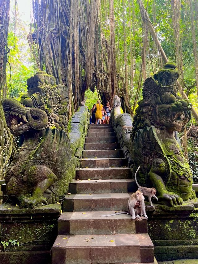 Sacred Monkey Forest - Ubud🐒🌿