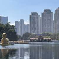  A stunning park in the heart of Shenzhen