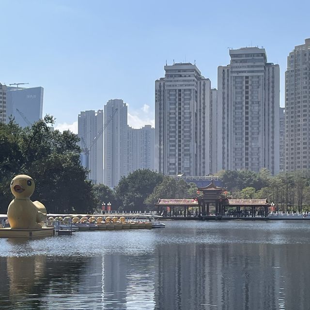  A stunning park in the heart of Shenzhen