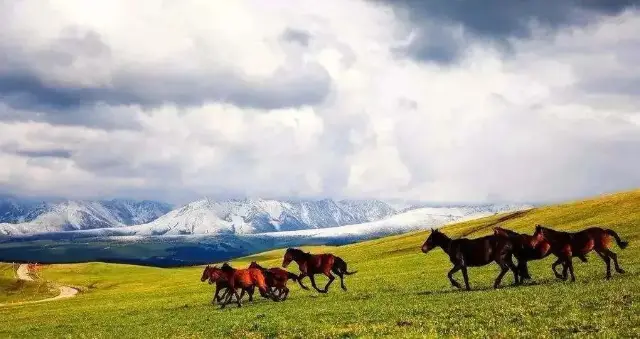 China's Most Beautiful ◆ Six Great Grasslands