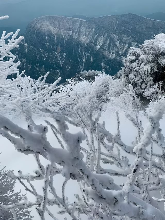 雲端之上的金頂