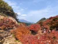 藍山谷楓葉，大自然的色彩比濾鏡艷麗