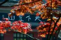 遇見冬日炫烂，遇見多彩涼山