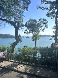親愛的小夥伴們👋，你是否憧憬著迷人的香港風景，踏上城市漫步的旅程？😍讓我帶你穿越繁華的街道、感受迷人的夜景，一起探索這座充滿活力的國際都市吧！✨