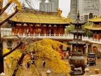 到上海不去逛逛全球最貴的寺廟，很難弄懂上海
